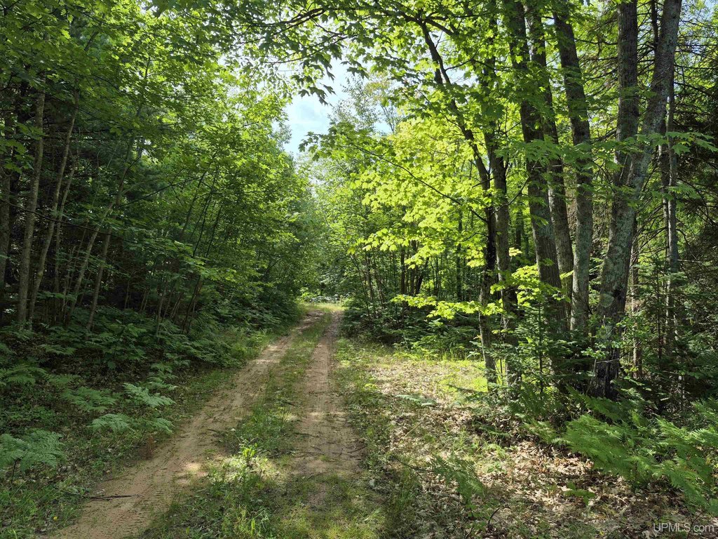 Picture 6