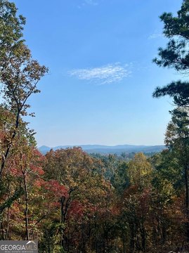 LAND - Talking Rock, GA