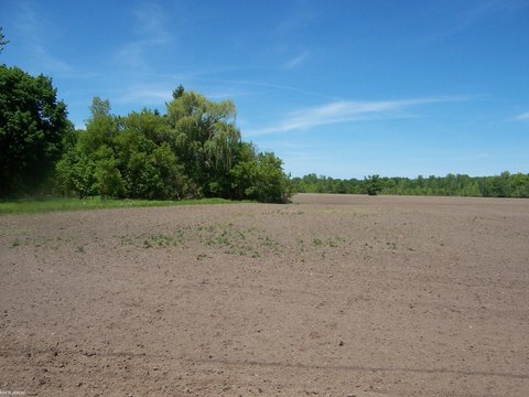 Commercial Land for Business