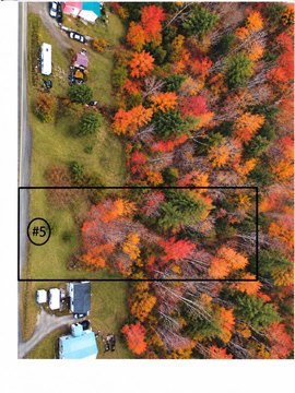 Commercial Land