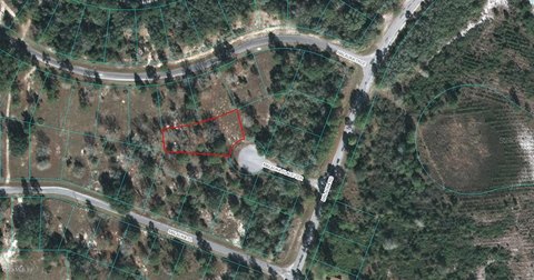 Residential Land in Ocklawaha, Florida