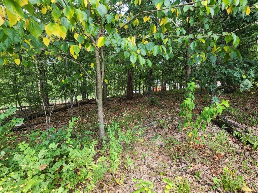 Picture 8
