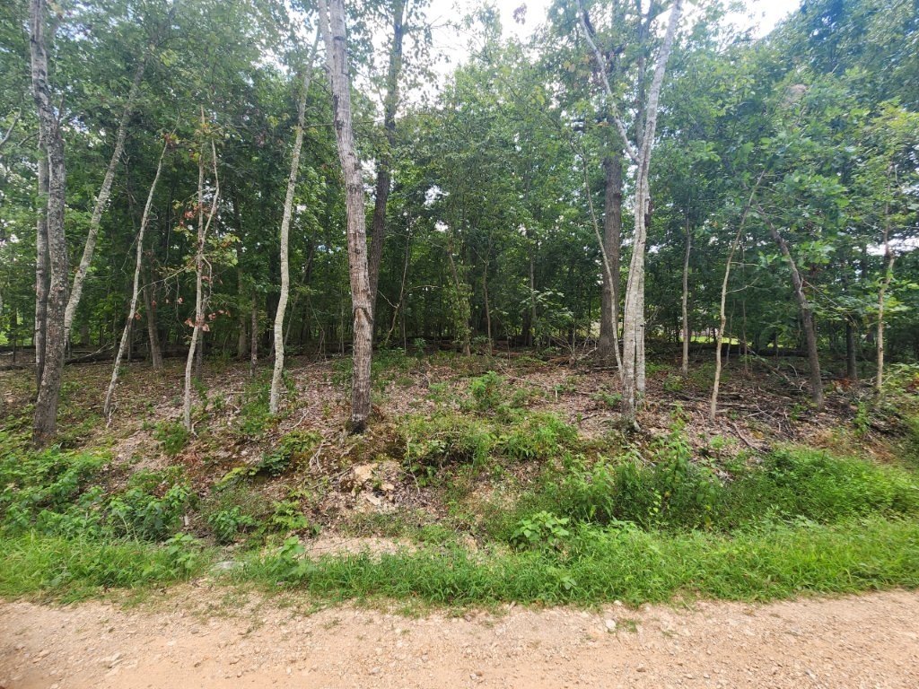 Picture 2