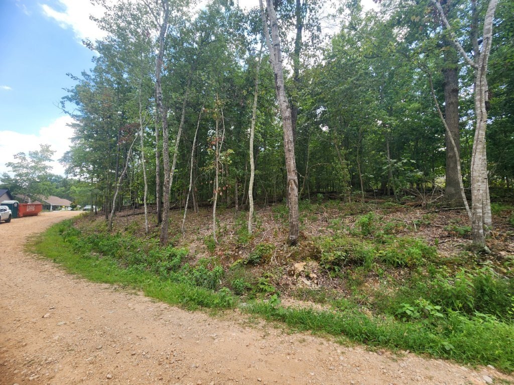 Picture 3