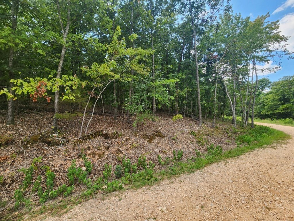 Picture 10
