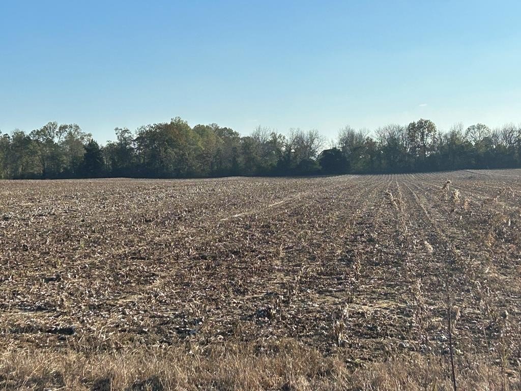 Picture 23