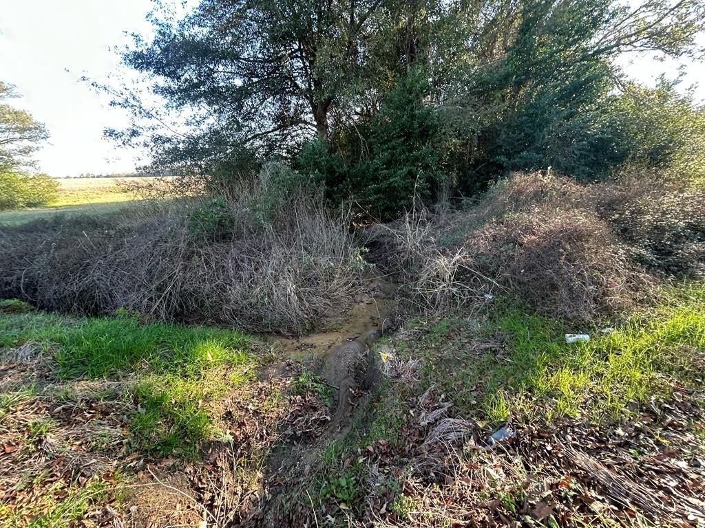 Picture 16