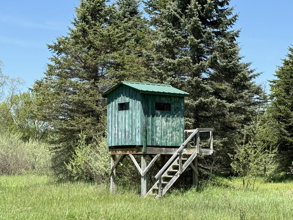 Picture 4