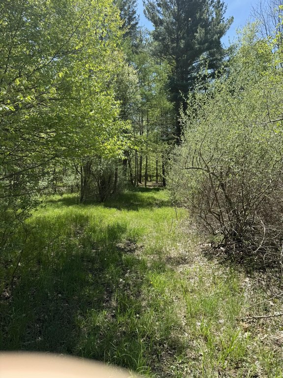 Picture 7