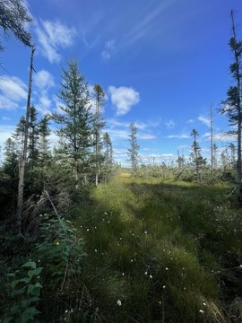 Tomahawk, WI Recreational Hunting Land