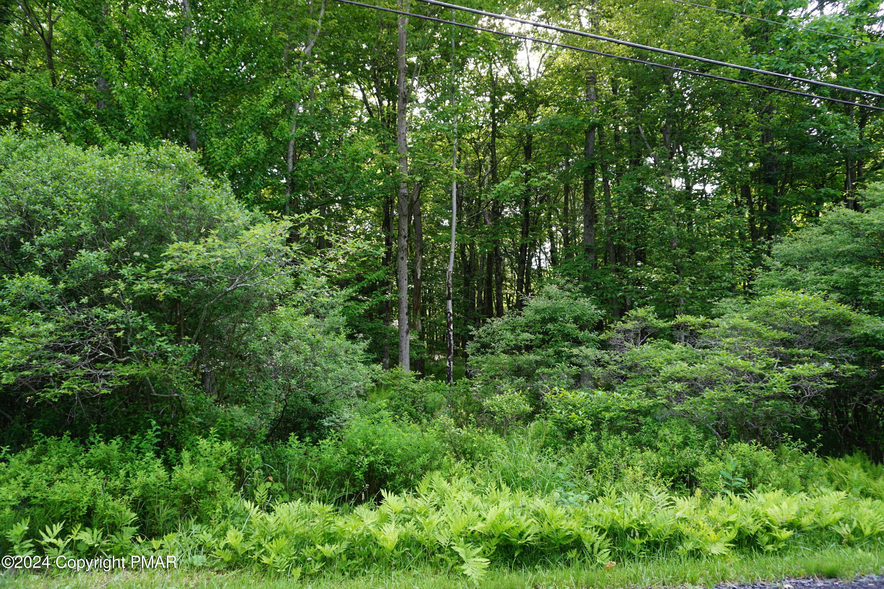 Land in Locust Lake Village
