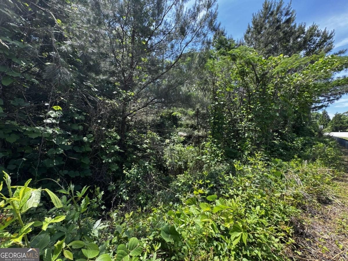 Residential Lot Near Hog Mountain