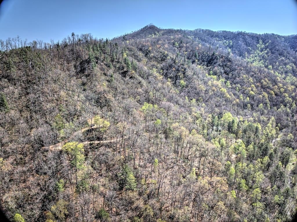Land Near Nantahala National Forest