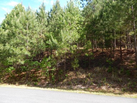 Southwest-Facing Mountain Home Lot