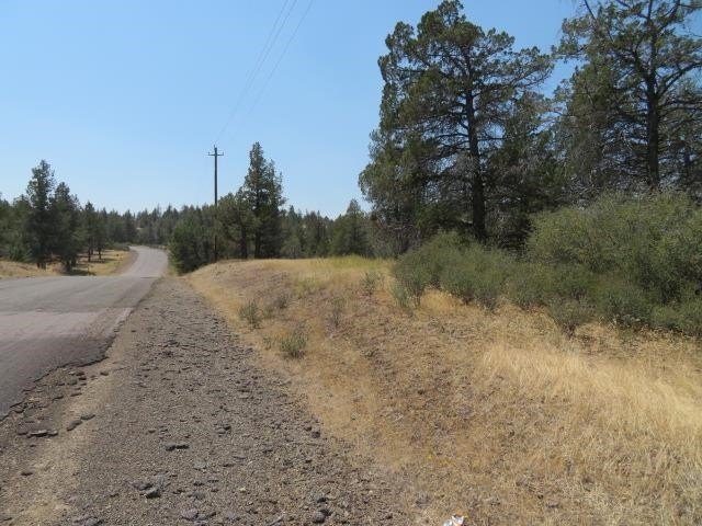 Picture 6