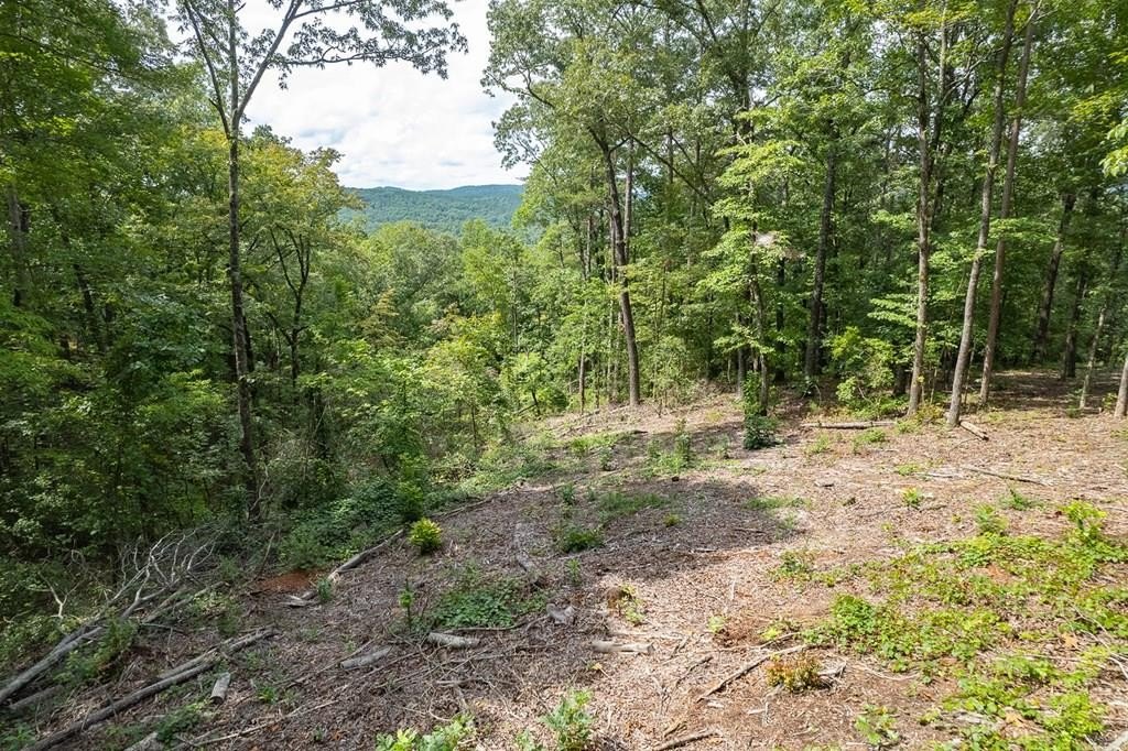 Talking Rock Vacant Mountain View Lot