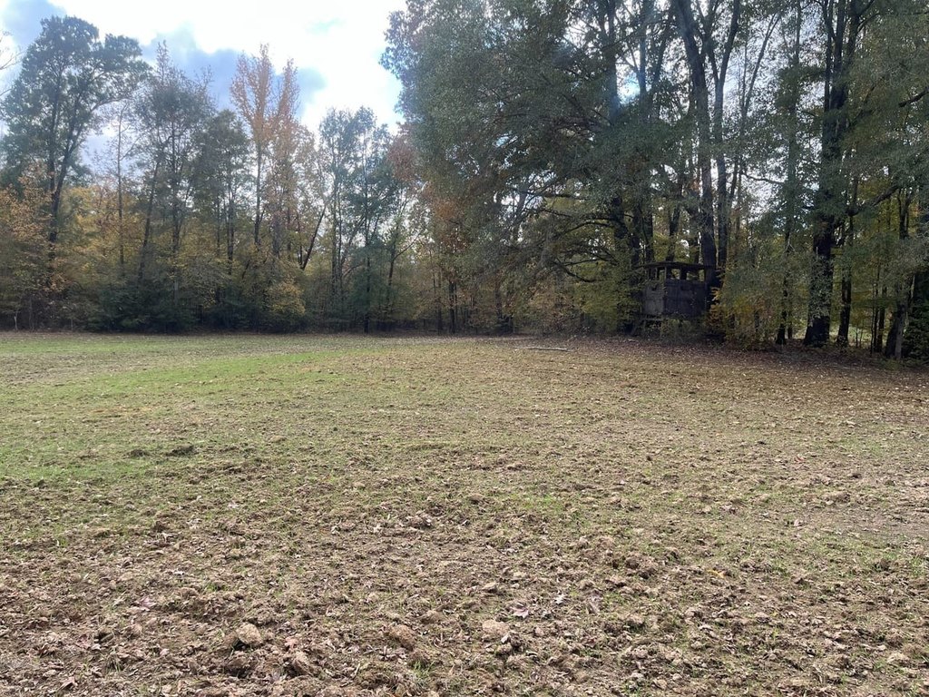 Picture 12