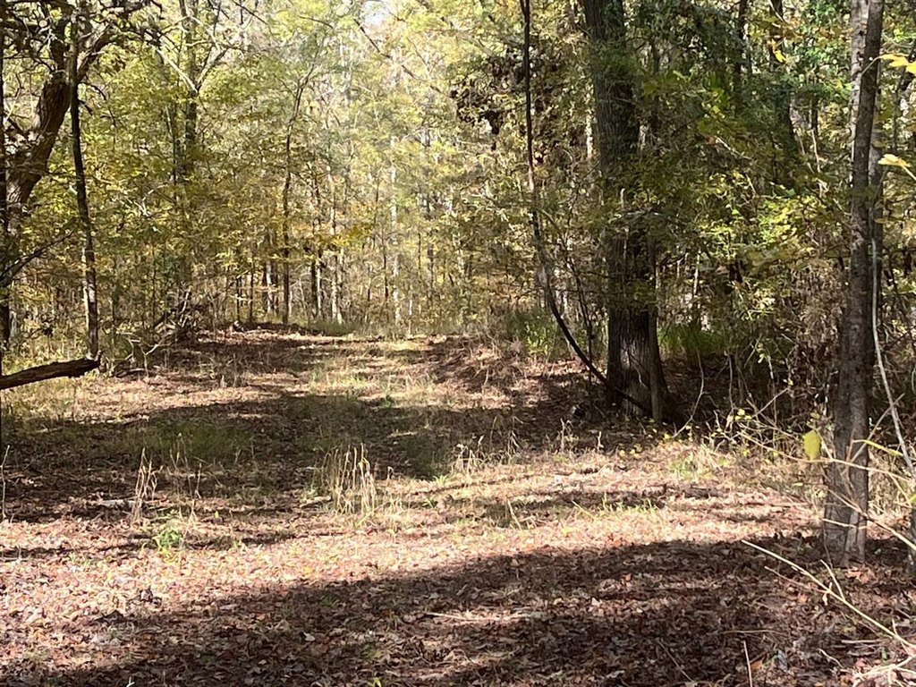 Picture 24