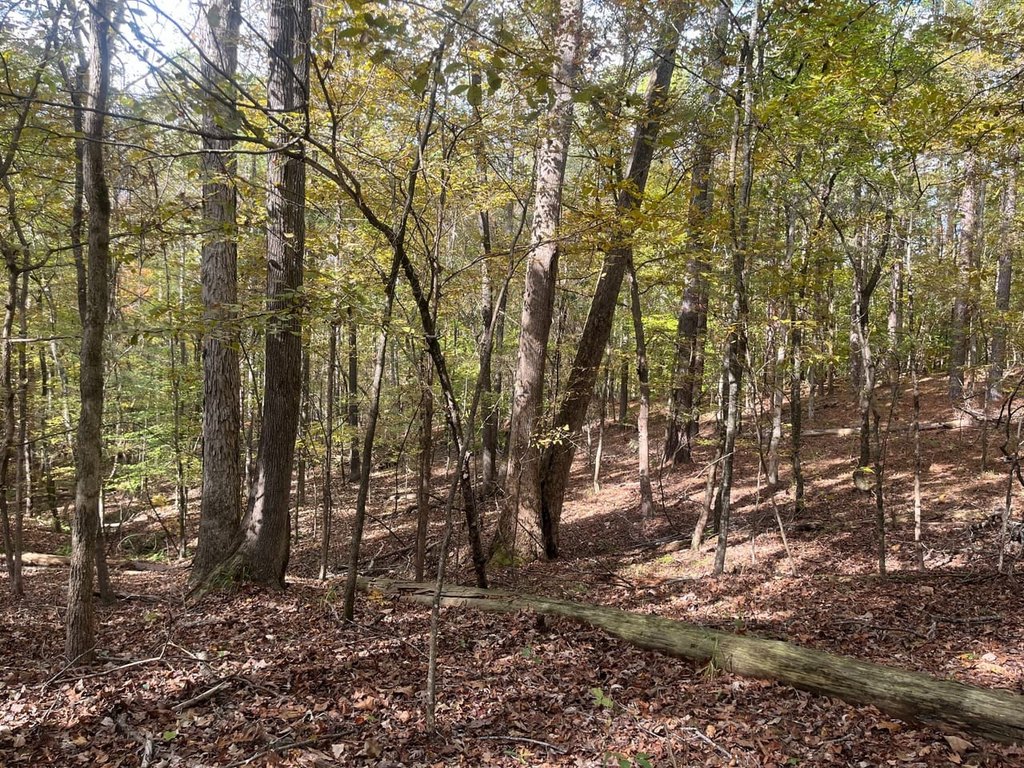 Picture 19