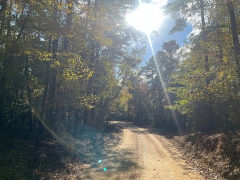 Timbered Waterfront Hunting Tract
