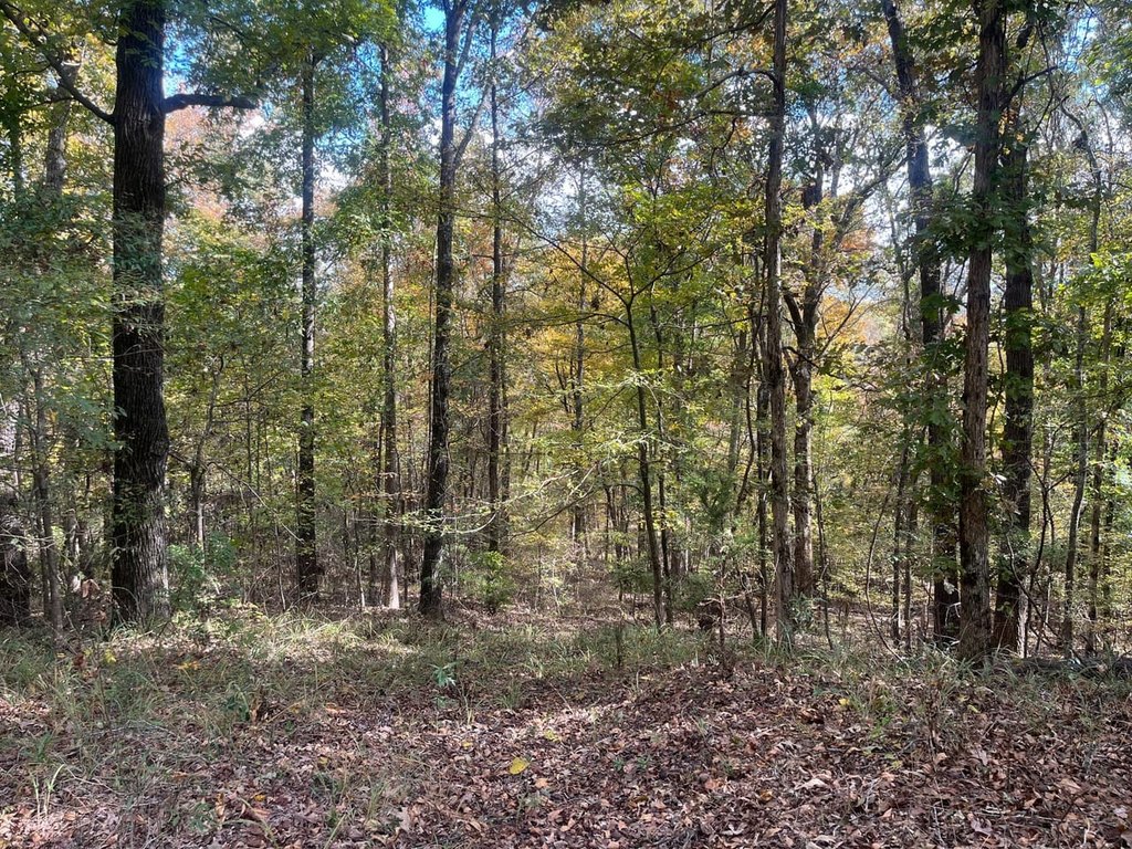 Picture 23