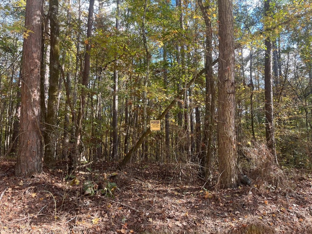 Picture 38