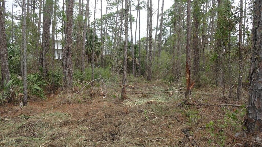 St. George Island Land