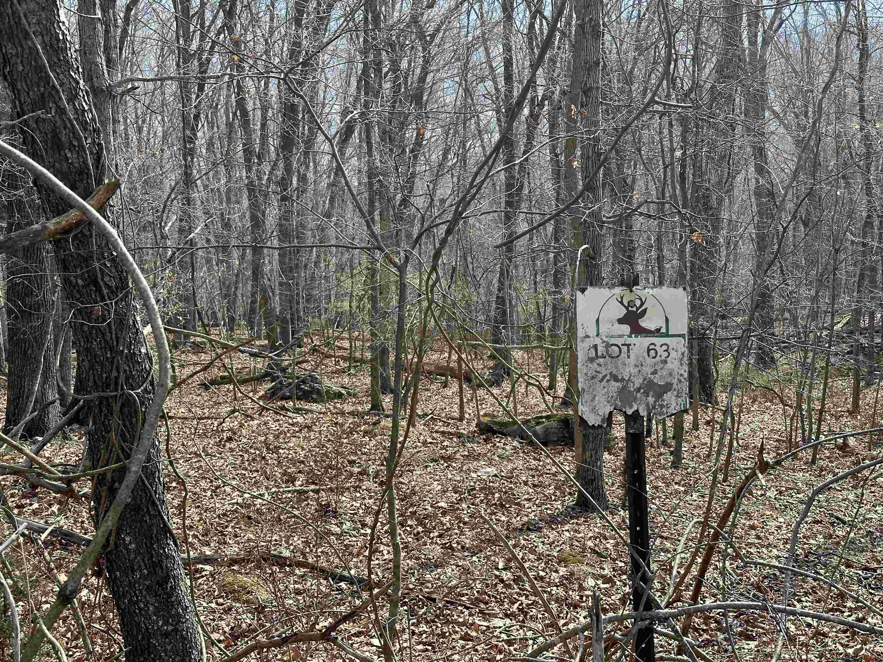 Residential Land in Blacksburg, VA