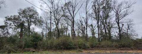 Rural Zoned Residential & Agricultural Land