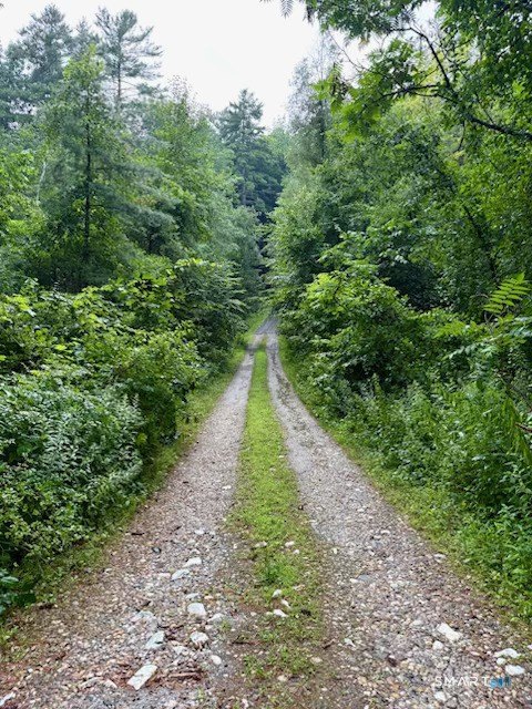 Picture 3