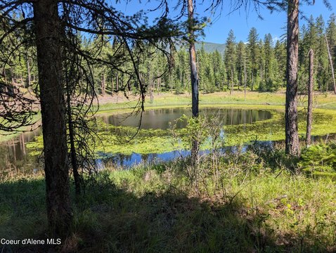Waterfront Recreational Land with Cabin