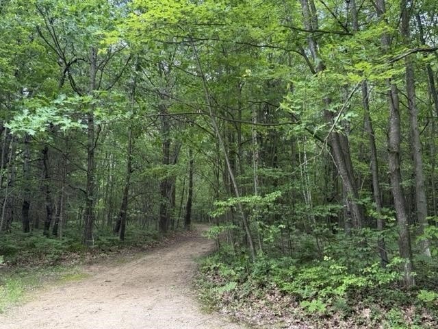 20-Acre Wooded Hunting Paradise