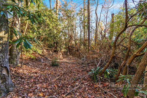 Land Near Blue Ridge Parkway