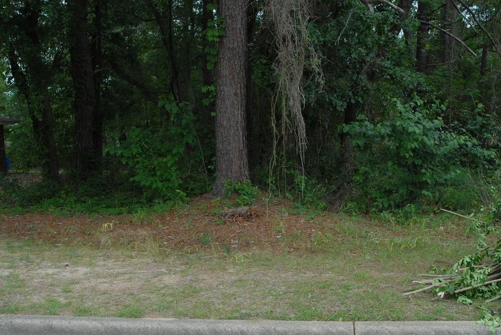 Picture 5