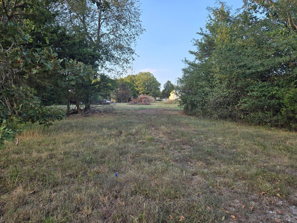 Picture 5