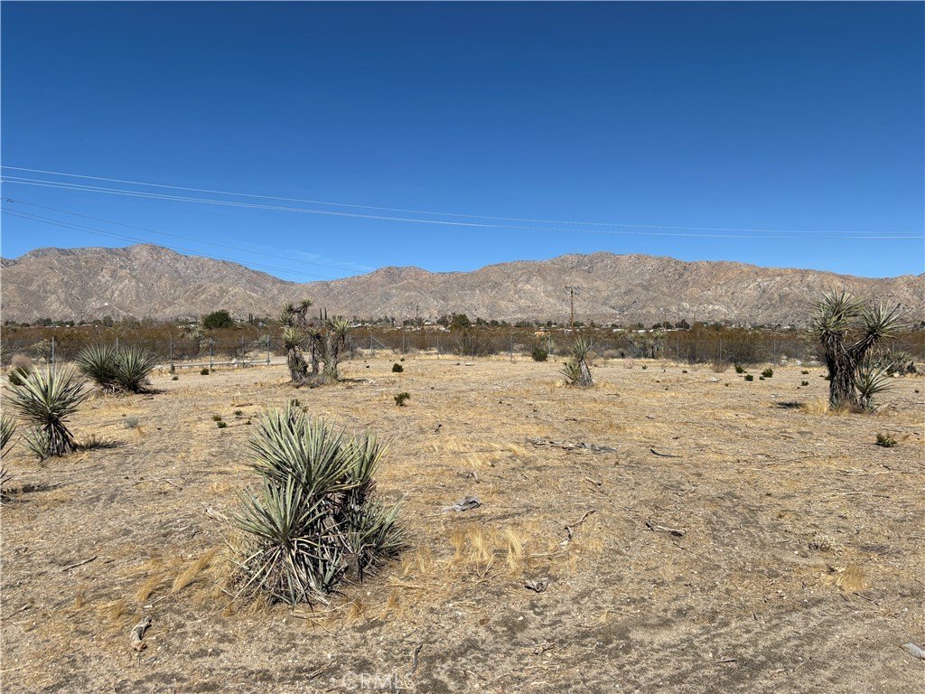 Picture 17
