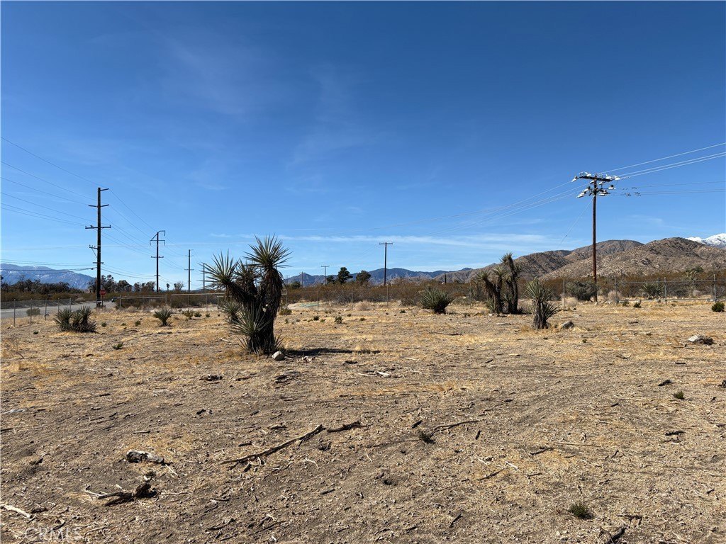 Picture 24
