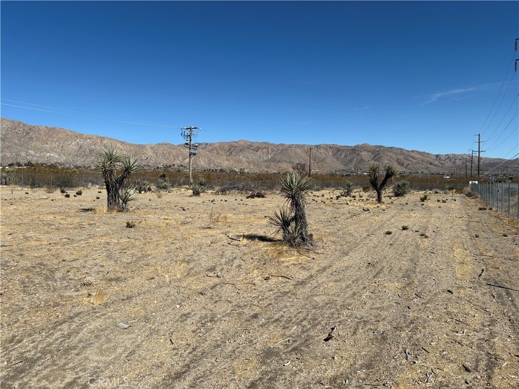 Picture 18