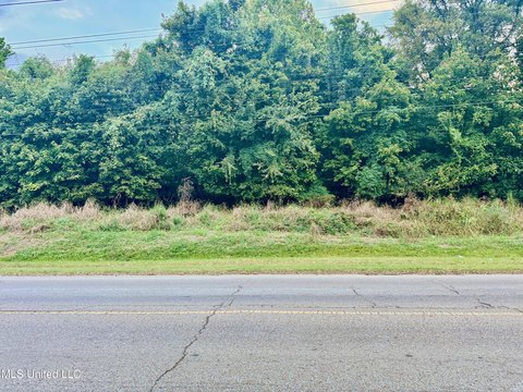 Vicksburg Land For Sale