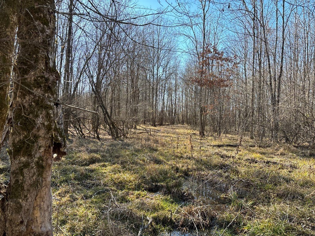 Picture 31