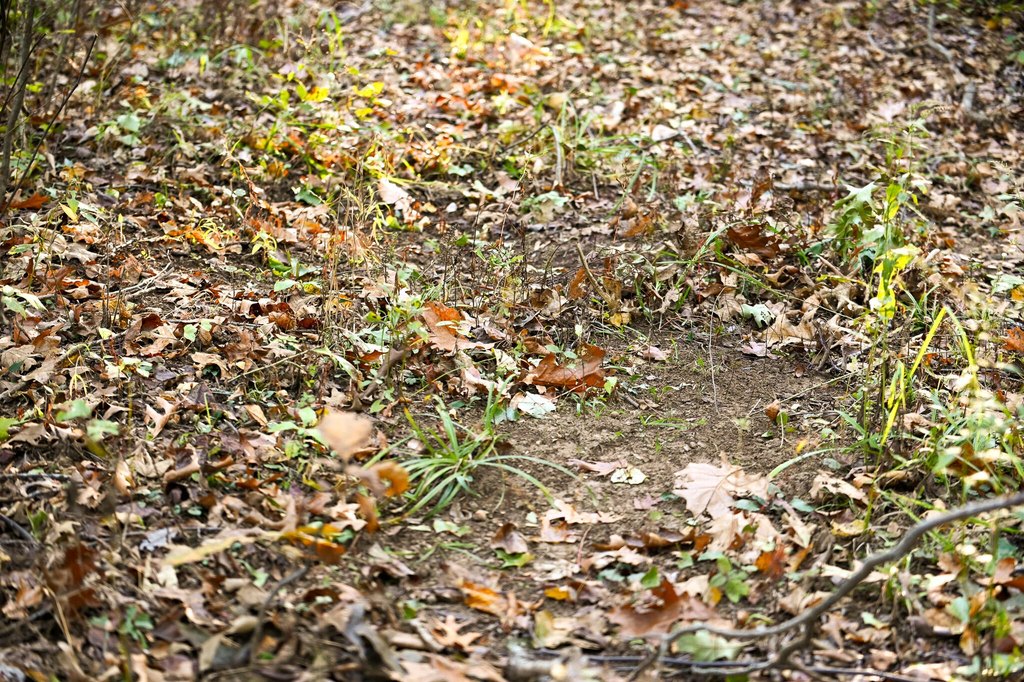 Picture 24
