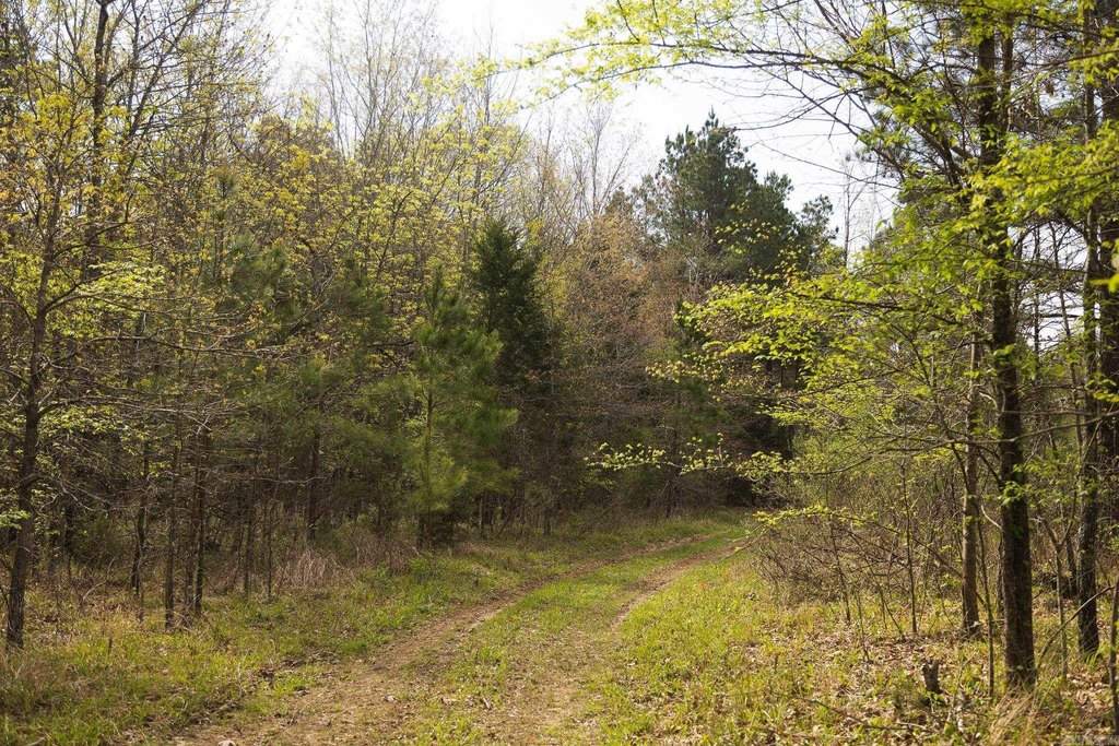 Picture 27
