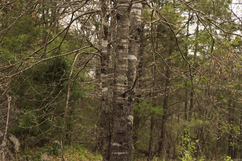 Picture 33