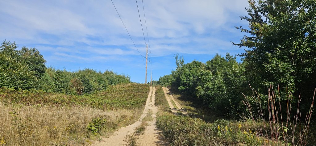 Picture 17