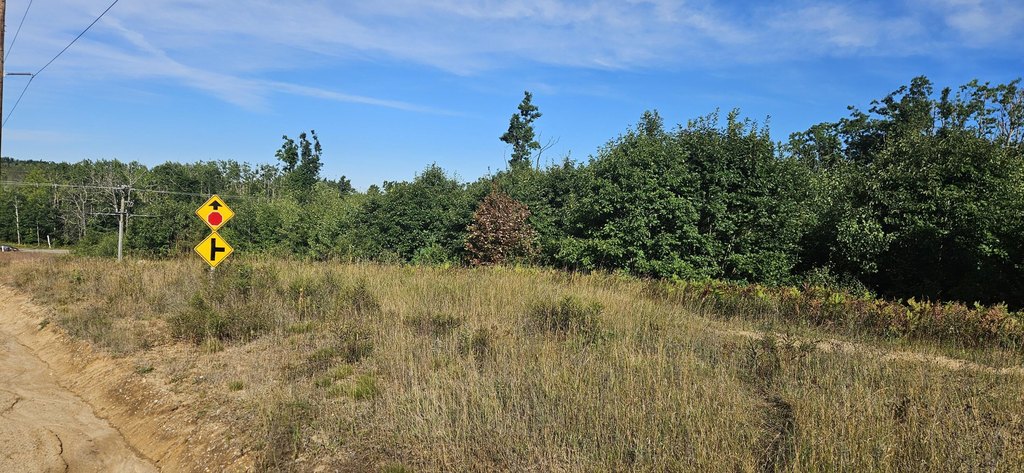 Picture 19