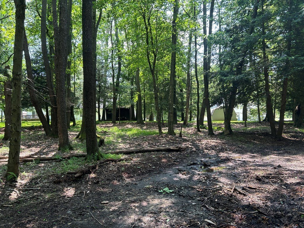 Picture 18