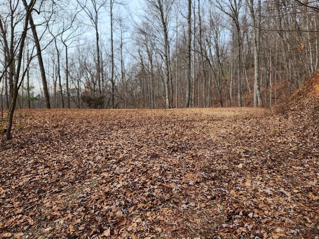 Picture 3