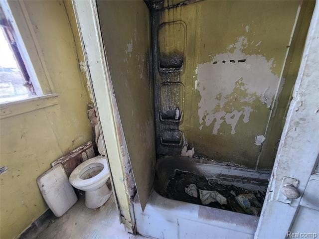 Picture 14