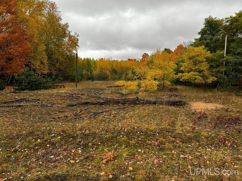 VACANT LAND, Marquette, MI