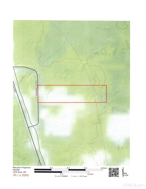 Picture 15